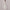 Small Group Temperament Patchwork Lace High Waisted Dress