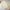 Women's Summer High-waisted Vintage Professional Skirt
