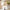 Flower Girl Wedding Little Girl Princess Dress