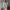 2pcs Knitted Suit Fashion Slim Sleeveless Long Dress And Casual Loose Cardigan Spring Fall Women's Clothing