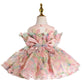 Girls Birthday Host Princess Dress