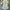 Green Jacquard Slimming Dress With Ruffled Hem