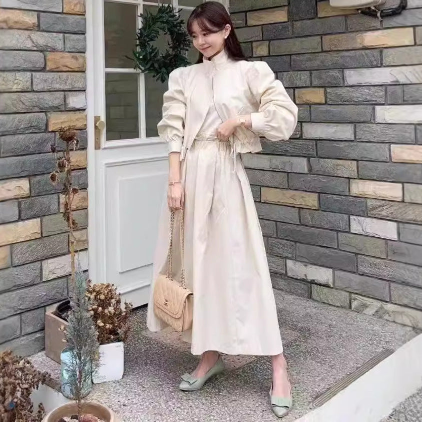 Women's Fashionable All-match Solid Color Short Coat Skirt Suit