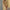 Mesh Camisole Halter Dress For Women Sexy And Form-fitting