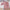 Pearl Flower Wide-leg Pants Princess Style Two-piece Set