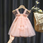 Girls Summer Mesh Butterfly Wings Puff Dress