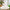 White Umbrella Princess Little Girl's Birthday Dress