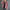 Corduroy Long Sleeve Short Coat Women's Solid Color Casual Corduroy Top