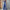 Fashionable Sleeveless Cropped Pants Suit With Pockets