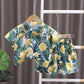Boys' Summer Short Sleeve Shirt Shorts Suit