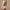 Womens Solid-Color Lace Long-Sleeve Slim-Fit Base Bodysuit