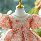 Children's Shiny Princess Dress Puffy Grenadine