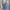 Women's Cotton Blue Plaid Skirt