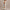 Off-the-shoulder Loose-fit Intricately Pleated Maxi Dress For Women