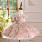 Girls Birthday Host Princess Dress