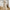 Mid-length Base Knitting Dress Sweater Women