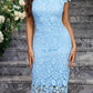 Pencil Slim Fit Water Capacity Lace Package Hip Skirt