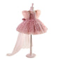 Girls Birthday Dress Flower Wedding Little Girl Princess Dress