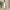 Women's Solid Color Versatile Fashion Single Shoulder Long Dress Set
