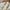 Women's New Thickened Slimming All-matching Graceful Loose Sweater