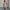 Women's Fashion Sexy Camisole Temperament Slim Design Floral Sleeveless Top