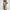 Women's Medium And Long Style Small Man Temperament Waist Closing Long Sleeve Coat