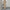 Solid-color Long-sleeve Straight-leg Pants Set For Women